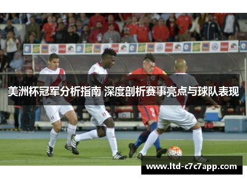 美洲杯冠军分析指南 深度剖析赛事亮点与球队表现