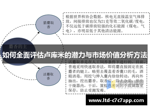 如何全面评估卢库米的潜力与市场价值分析方法
