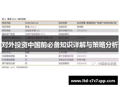 对外投资中国前必备知识详解与策略分析