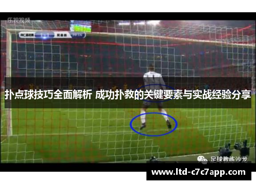 扑点球技巧全面解析 成功扑救的关键要素与实战经验分享