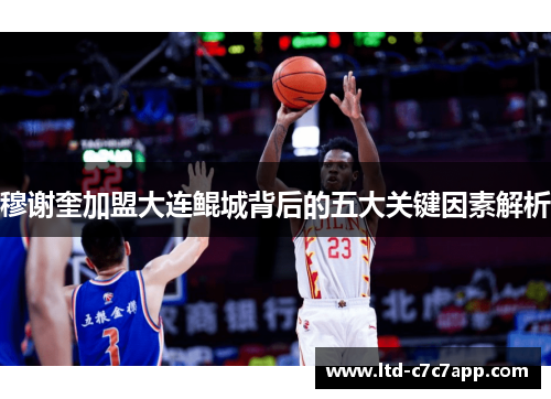 穆谢奎加盟大连鲲城背后的五大关键因素解析