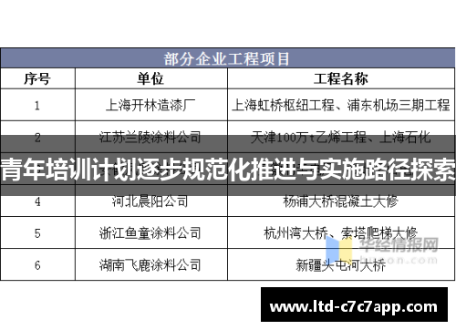 青年培训计划逐步规范化推进与实施路径探索 青年培训计划逐步规范化推进与实施路径探索